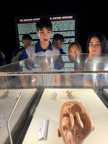 visita a exhibición "Bodies"